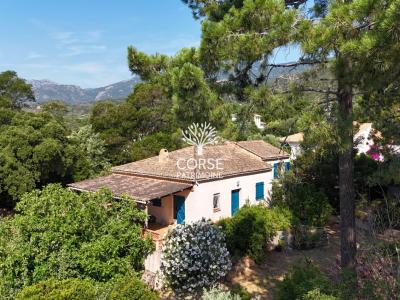 For sale Porto-vecchio 5 rooms 104 m2 Corse (20137) photo 0