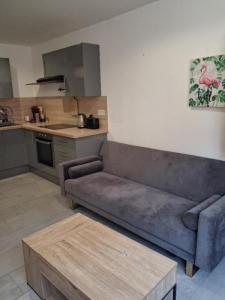 Louer Appartement 42 m2 Lauris