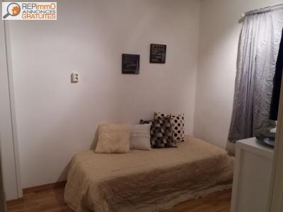 Louer Appartement Lyon 500 euros