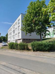 For rent Mirecourt 2 rooms 47 m2 Vosges (88500) photo 0