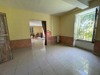 Acheter Prestige Pouzols-minervois 350000 euros