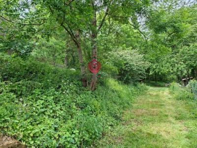 For sale Castelnaudary 6 rooms 190 m2 Aude (11400) photo 2