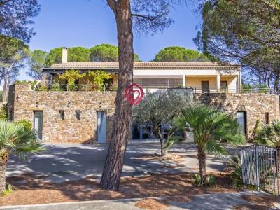 For sale Carcassonne 7 rooms 318 m2 Aude (11000) photo 0
