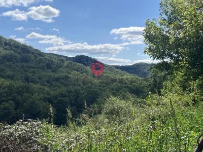 Annonce Vente Prestige Sainte-croix-volvestre 09