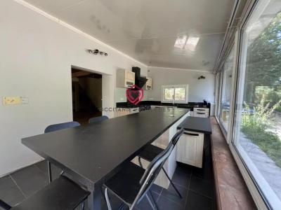Acheter Prestige Sainte-croix-volvestre Ariege