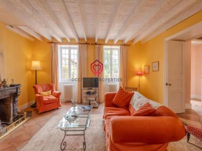 Acheter Prestige Castelnaudary 695000 euros