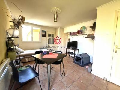Acheter Maison Castillon-en-couserans 220000 euros