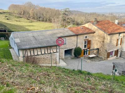 For sale Saint-jean-du-falga 6 rooms 147 m2 Ariege (09100) photo 0