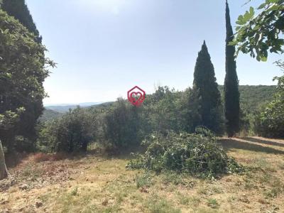 Annonce Vente Prestige Belveze-du-razes 11
