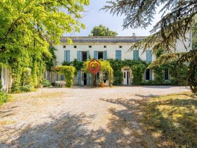 Acheter Prestige Castres Tarn