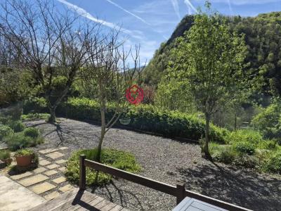 Acheter Prestige Massat Ariege