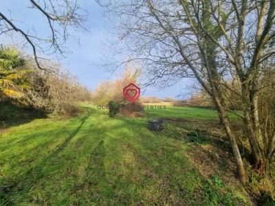 Annonce Vente 6 pi�ces Maison Marciac 32