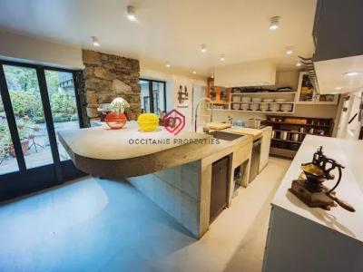 Acheter Chambre d'hotes Siguer 1295000 euros