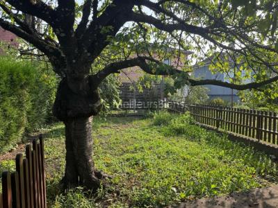 Annonce Vente Terrain Illzach 68