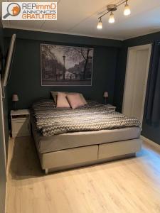 Annonce Location 2 pi�ces Appartement Grenoble 38