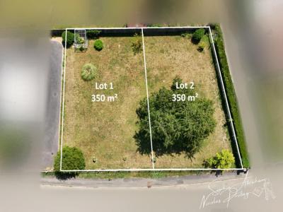 Annonce Vente Terrain Pussay 91
