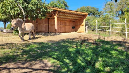 For sale Plazac 6 rooms 118 m2 Dordogne (24580) photo 4