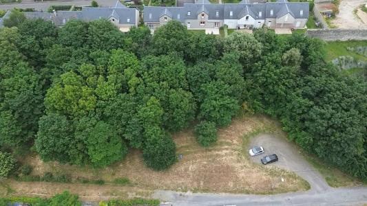 Annonce Vente Terrain Granville 50