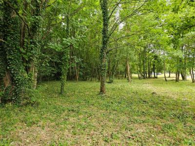 Annonce Vente Terrain Granville 50