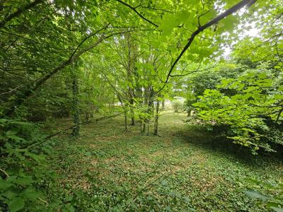 Acheter Terrain 2700 m2 Granville