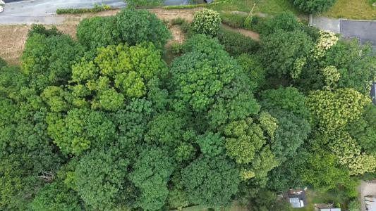 Acheter Terrain Granville 200000 euros