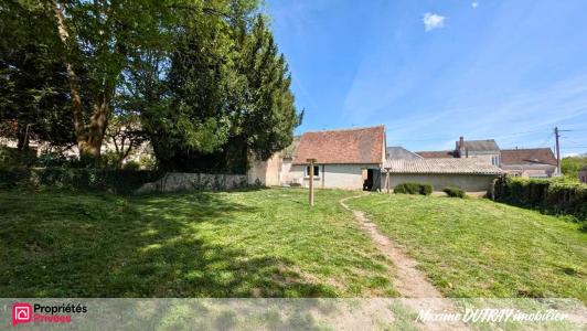 Annonce Vente 9 pi�ces Maison Chateau-renault 37