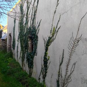 For sale Groix 1 room 31 m2 Morbihan (56590) photo 2