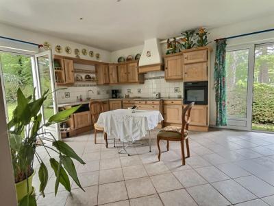 Annonce Vente 9 pi�ces Maison Neufchatel-hardelot 62