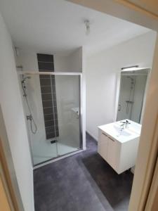 Louer Appartement 49 m2 Nancy