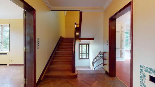 Acheter Prestige Montbeliard Doubs