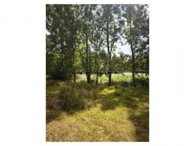 Annonce Vente Prestige Courlay 79
