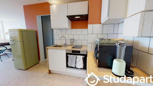 Annonce Location Appartement Villeurbanne 69