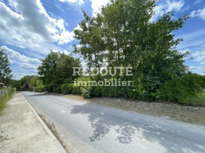 For sale Saint-souplet-sur-py 1000 m2 Marne (51600) photo 0
