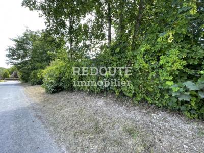 Acheter Terrain 1000 m2 Saint-souplet-sur-py