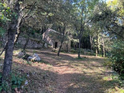 Acheter Terrain  Herault