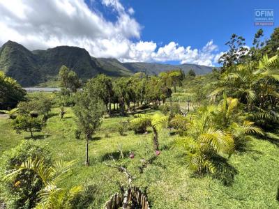 Annonce Vente Maison Plaine-des-palmistes 974