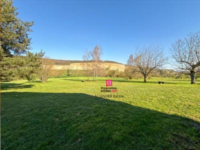 Acheter Maison 836 m2 Eaux-puiseaux