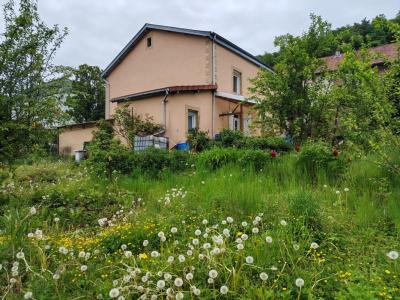 Annonce Vente 8 pi�ces Maison Herserange 54