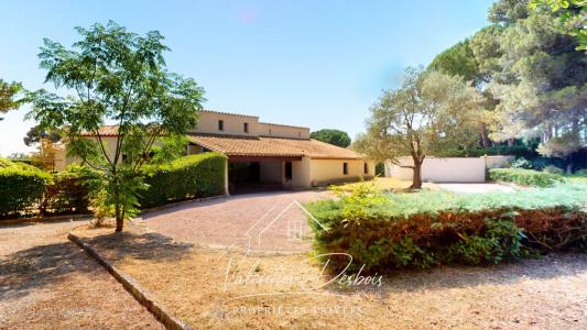 Annonce Vente 5 pi�ces Maison Villemoustaussou 11