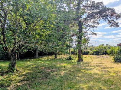 For sale Saugnacq-et-muret 7 rooms 222 m2 Landes (40410) photo 3