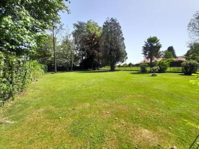 Acheter Terrain Oloron-sainte-marie 69000 euros