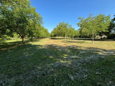 For sale Riviere 406 m2 Isere (38210) photo 0