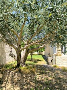 For sale Bagnols-sur-ceze 5 rooms 118 m2 Gard (30200) photo 2