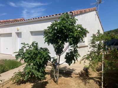 For sale Limoux 4 rooms 70 m2 Aude (11300) photo 0