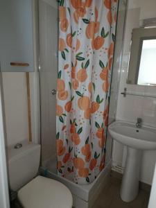 Louer Appartement Saran 400 euros