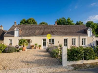 Annonce Vente 6 pi�ces Maison Vatan 36