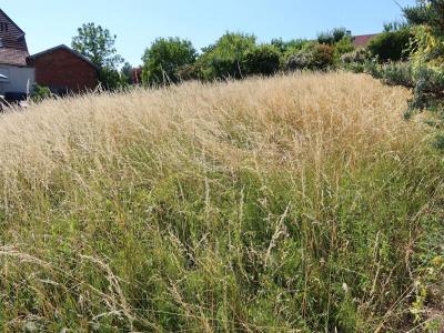 Annonce Vente 5 pi�ces Maison Pouilley-les-vignes 25