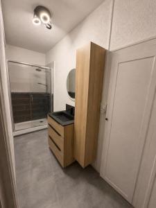 Louer Appartement Renaison Loire
