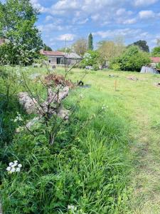 Acheter Terrain 370 m2 Saint-barthelemy-d'anjou