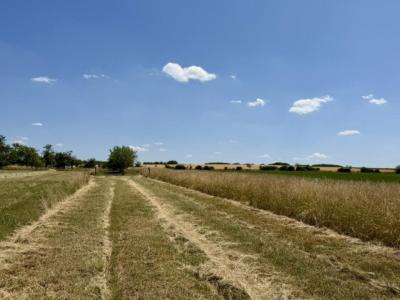 For sale Haraucourt 1024 m2 Meurthe et moselle (54110) photo 0